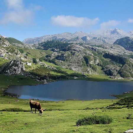 Апартаменти Casa Noval Zona Rural En El Centro De Asturias Bimenes Екстер'єр фото