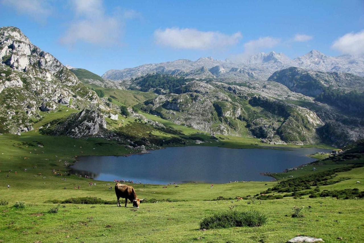 Апартаменти Casa Noval Zona Rural En El Centro De Asturias Bimenes Екстер'єр фото