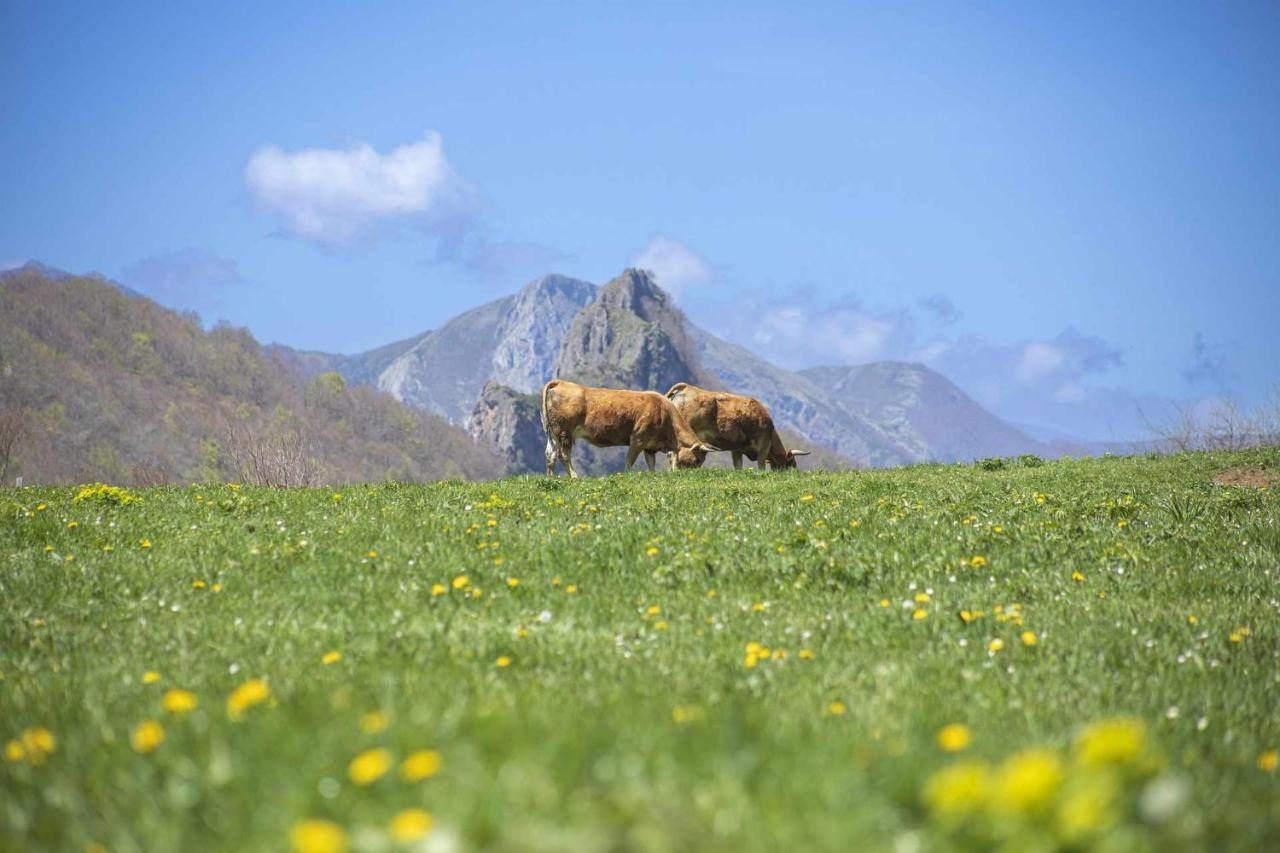 Апартаменти Casa Noval Zona Rural En El Centro De Asturias Bimenes Екстер'єр фото